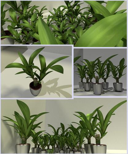 Indoor Pot Plant 2 preview image